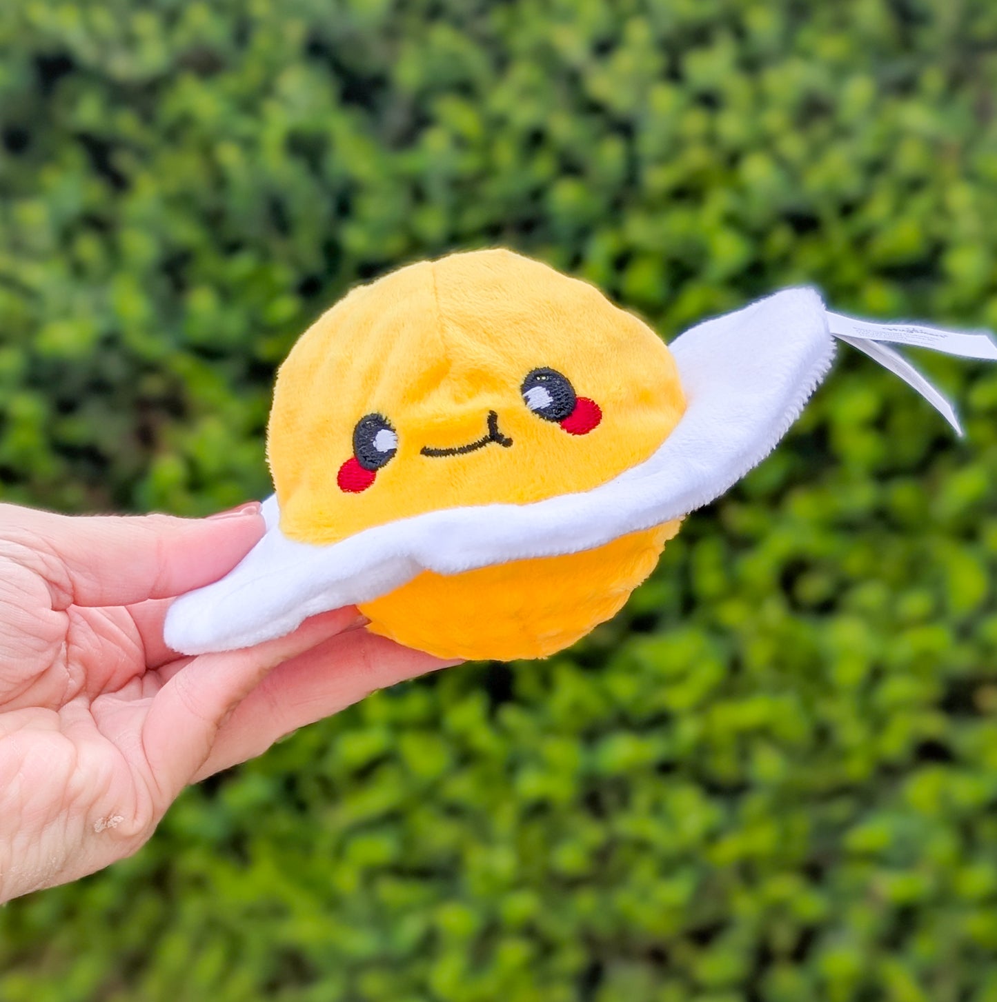 Hugsmart Food Party | Fried Egg Ball Toy