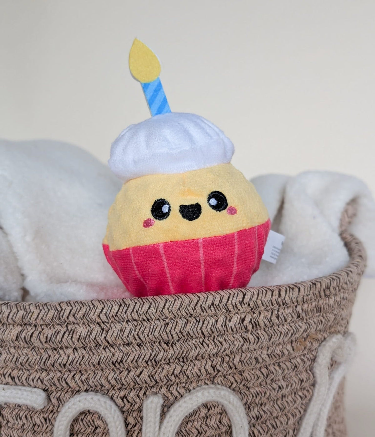 Hugsmart Birthday Ball Toys