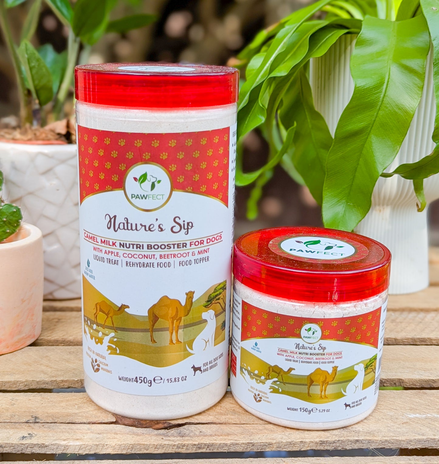 Pawfect Nature's Sip For Dogs | Camel Milk with Apple, Coconut, Beetroot and Mint | 2 Sizes