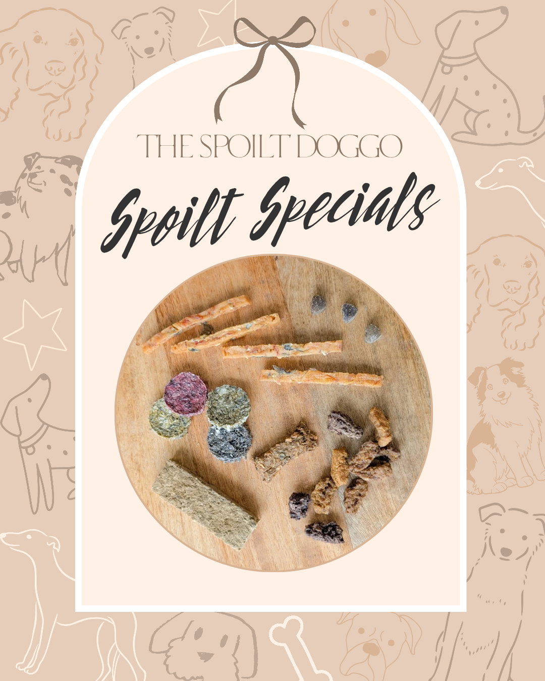 🐾✨ SPOILT SPECIALS ✨🐾