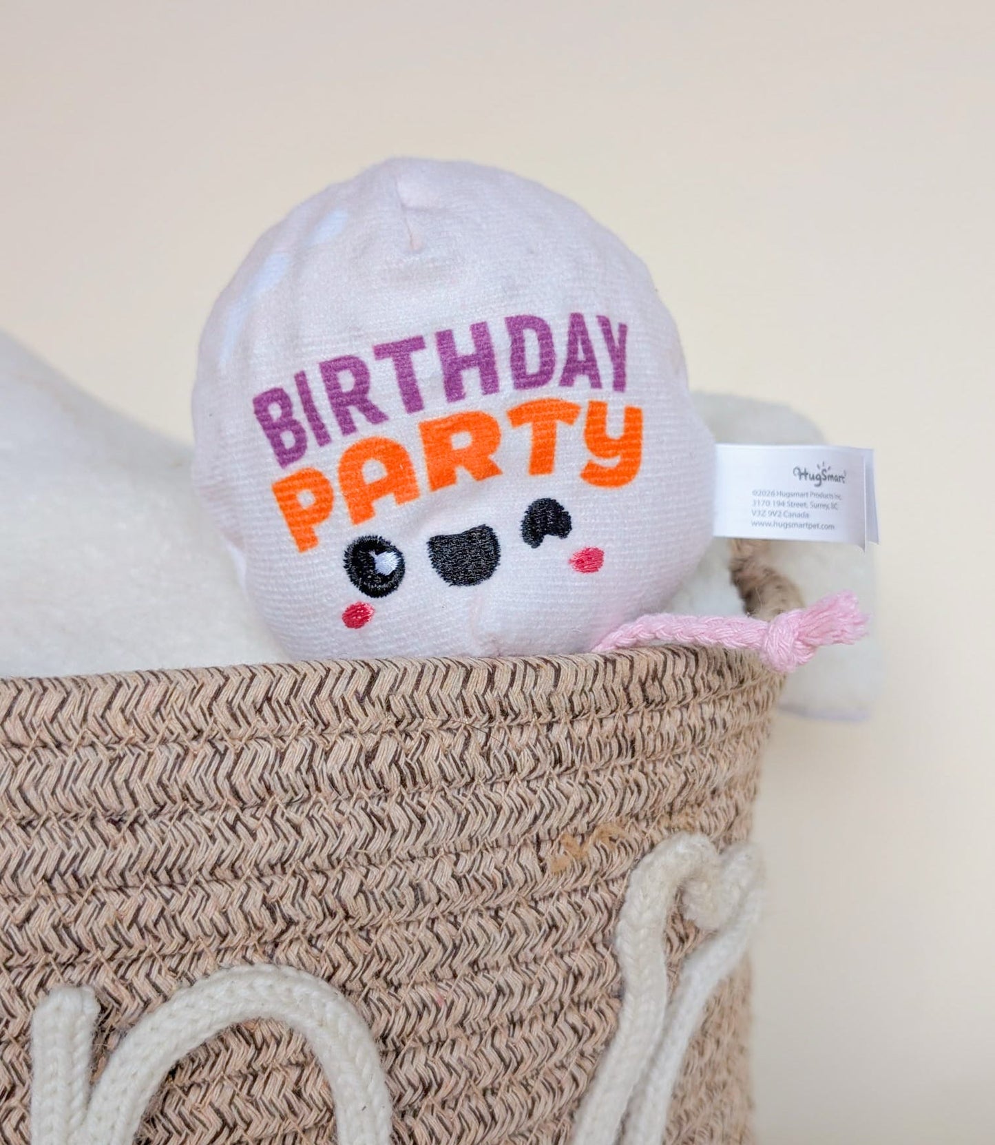 Hugsmart Birthday Ball Toys
