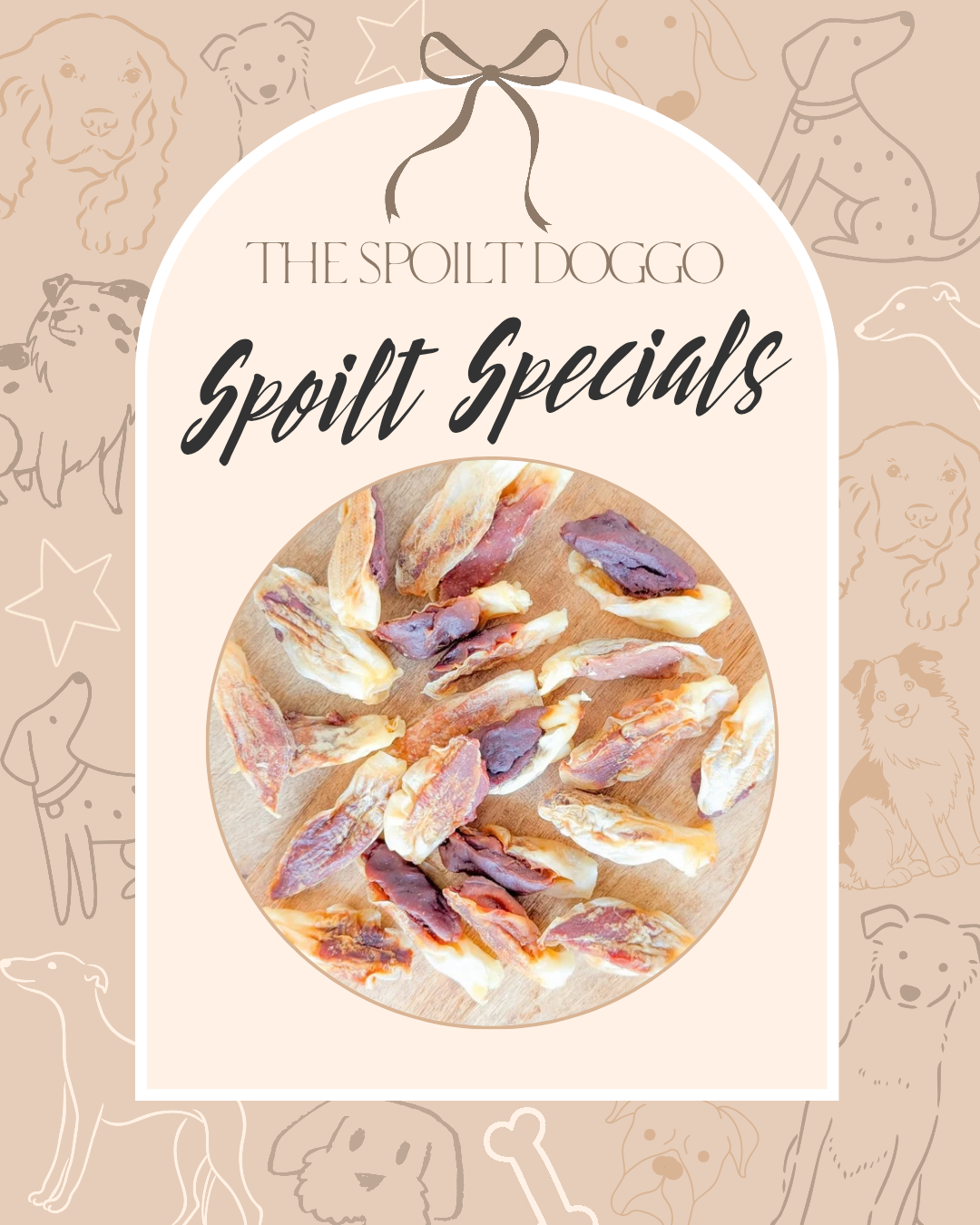 🐾✨ SPOILT SPECIALS ✨🐾