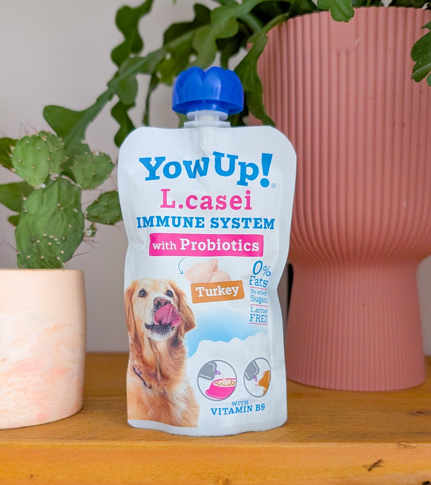 Yowup! L.Casei Probiotics Turkey