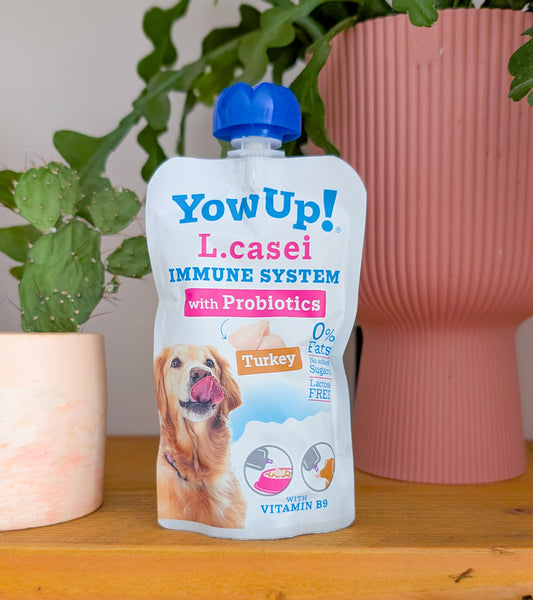 Yowup! L.Casei Probiotics Turkey