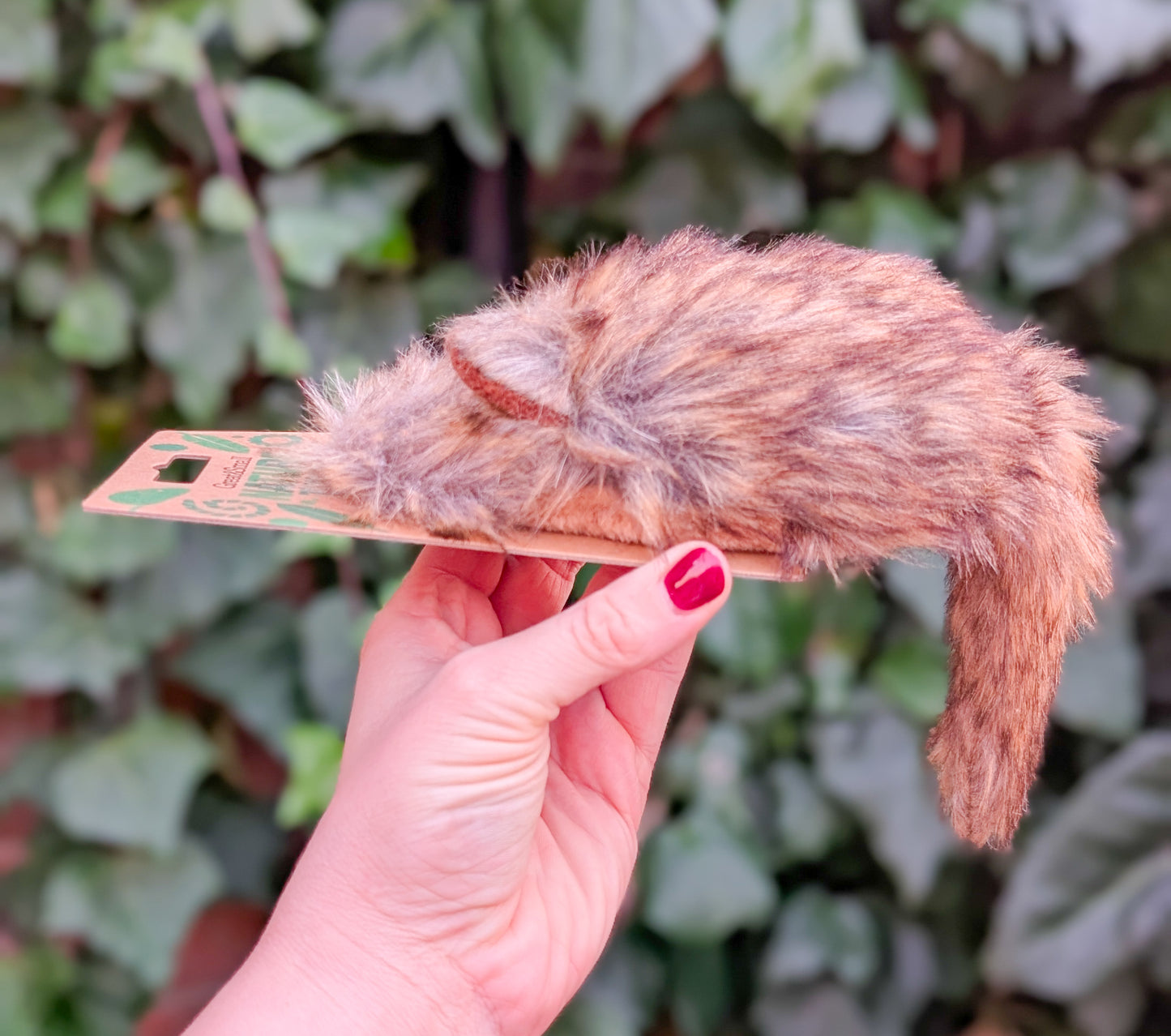 🐈‍⬛ Great&Small Mouse Cat Toy 🐁