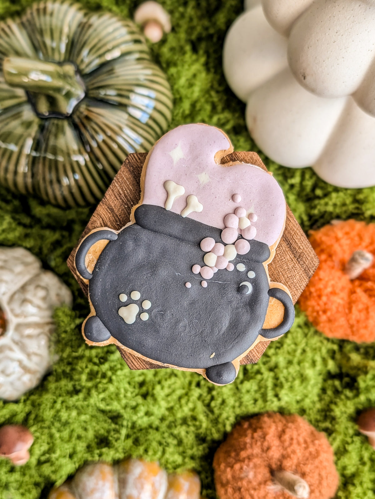 Whiskers & Wishes Bewitching Biscuits