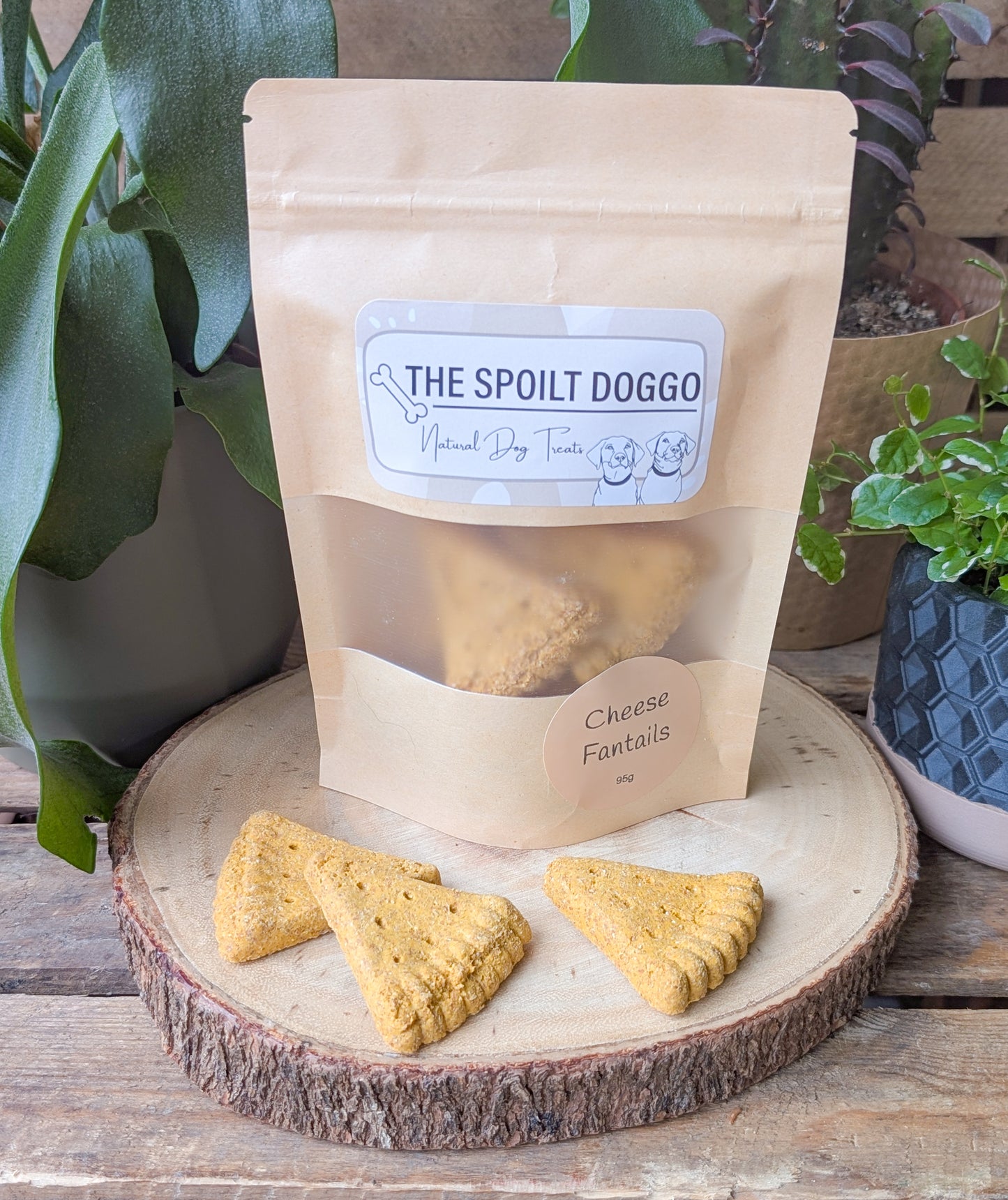 Cheese Fantails Biscuits