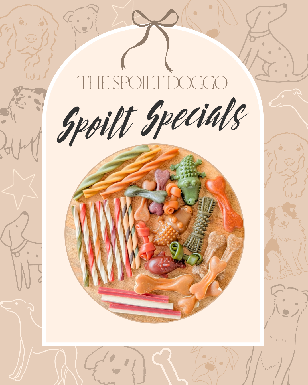 🐾✨ SPOILT SPECIALS ✨🐾
