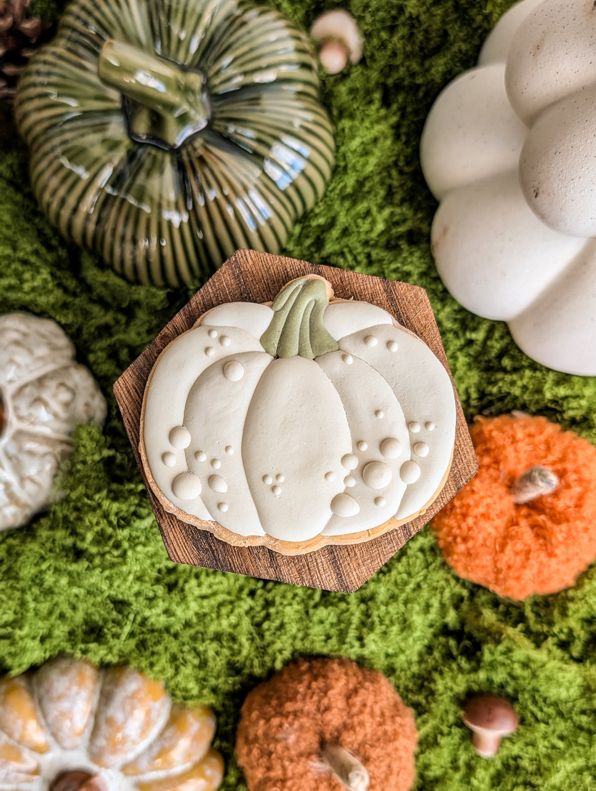 Whiskers & Wishes Bewitching Biscuits