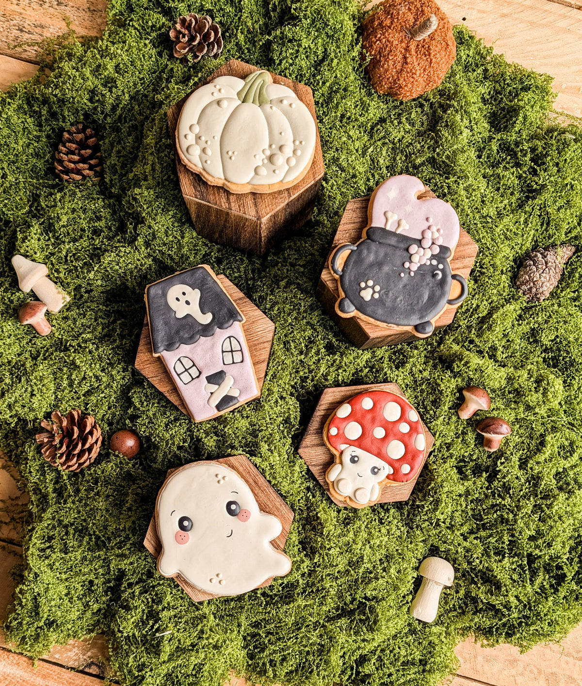 Whiskers & Wishes Bewitching Biscuits